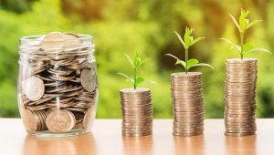 Therapists and money