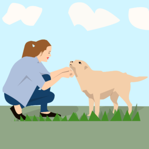 dog 2826918 1920