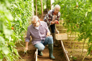 Couple Gardening scaled